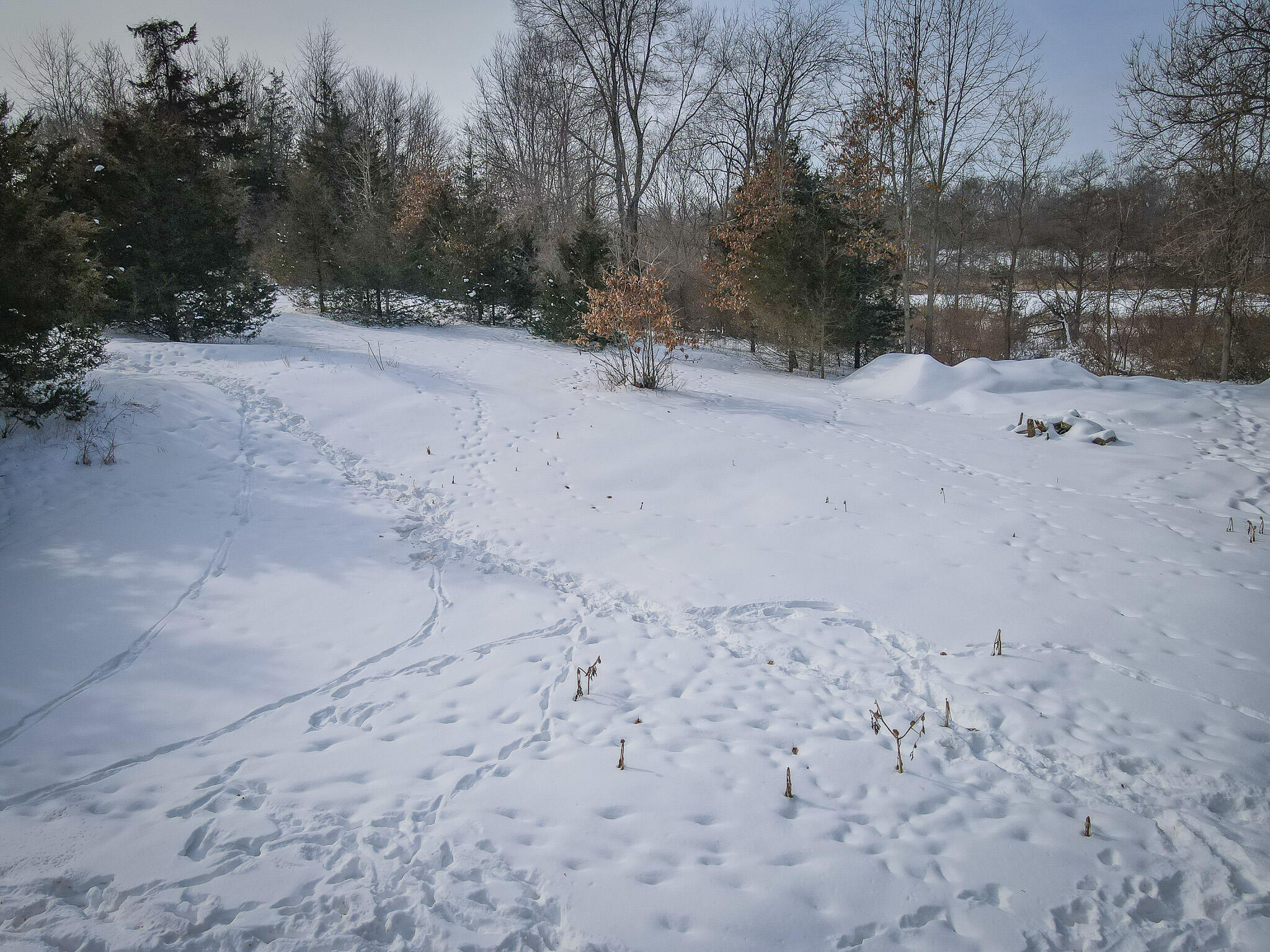 5100 Long Lake Road Reading, MI 49274 - Photo 31 of 83 DJI_0343