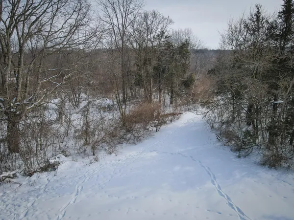 $529,000 | 5100 Long Lake Road, Reading, MI 49274