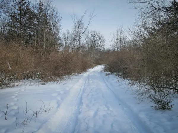 $529,000 | 5100 Long Lake Road, Reading, MI 49274