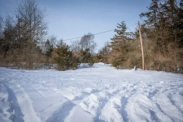 $529,000 | 5100 Long Lake Road, Reading, MI 49274