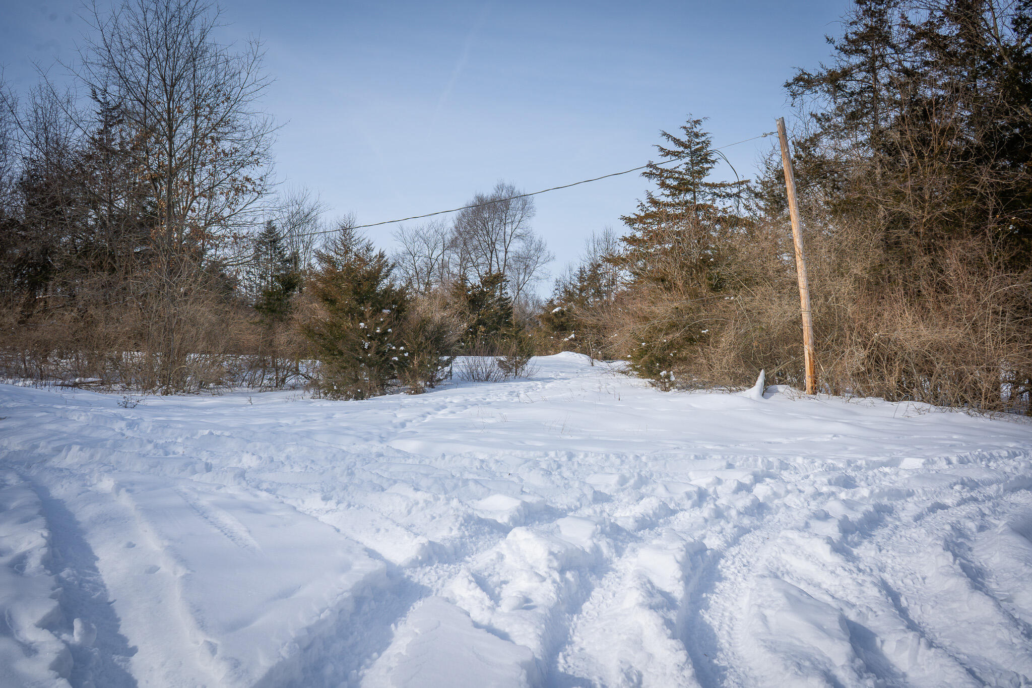 5100 Long Lake Road Reading, MI 49274 - Photo 40 of 83 DSC07566