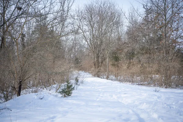 $529,000 | 5100 Long Lake Road, Reading, MI 49274