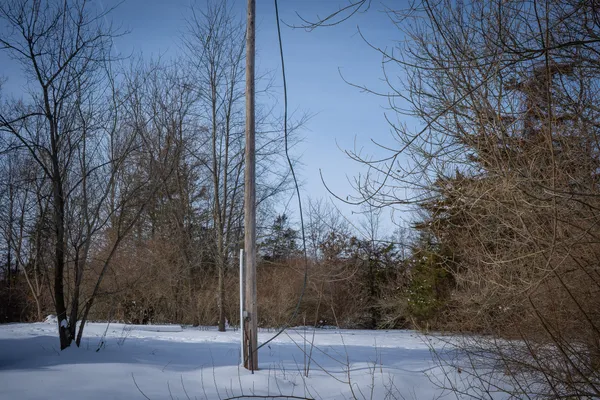 $529,000 | 5100 Long Lake Road, Reading, MI 49274