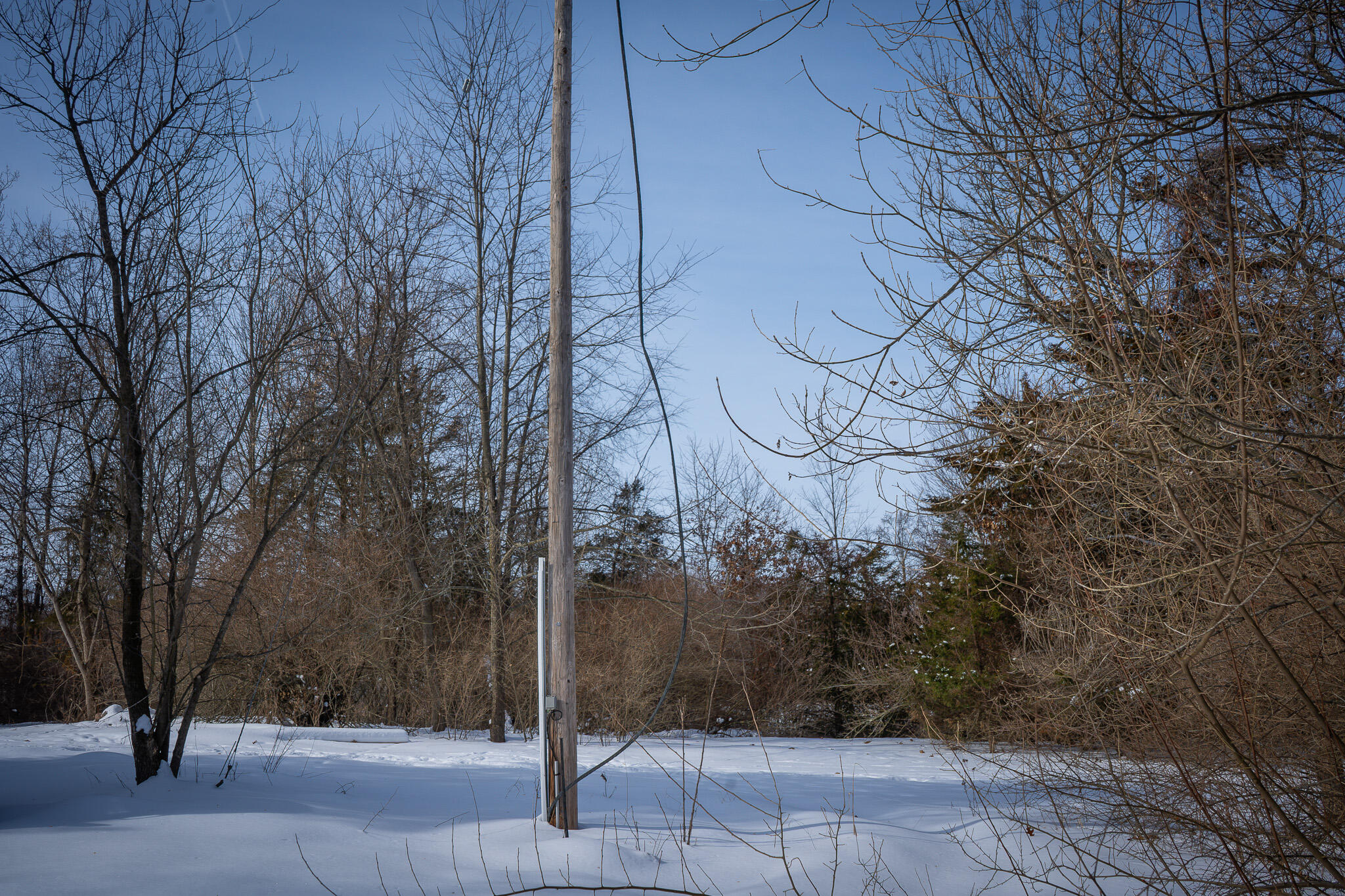 5100 Long Lake Road Reading, MI 49274 - Photo 44 of 83 DSC07570