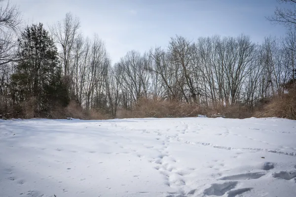 $529,000 | 5100 Long Lake Road, Reading, MI 49274