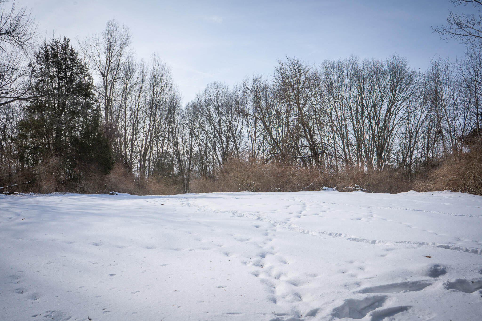 5100 Long Lake Road Reading, MI 49274 - Photo 45 of 83 DSC07571