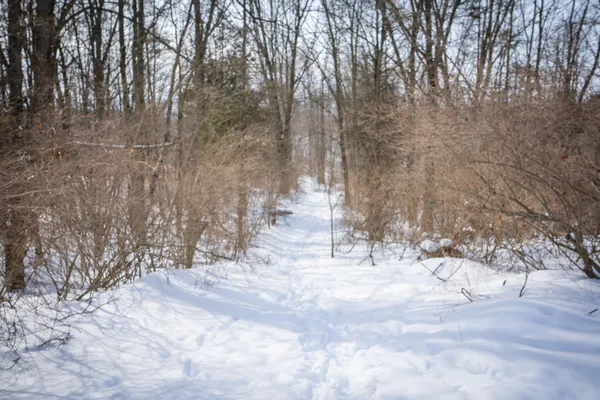 $529,000 | 5100 Long Lake Road, Reading, MI 49274