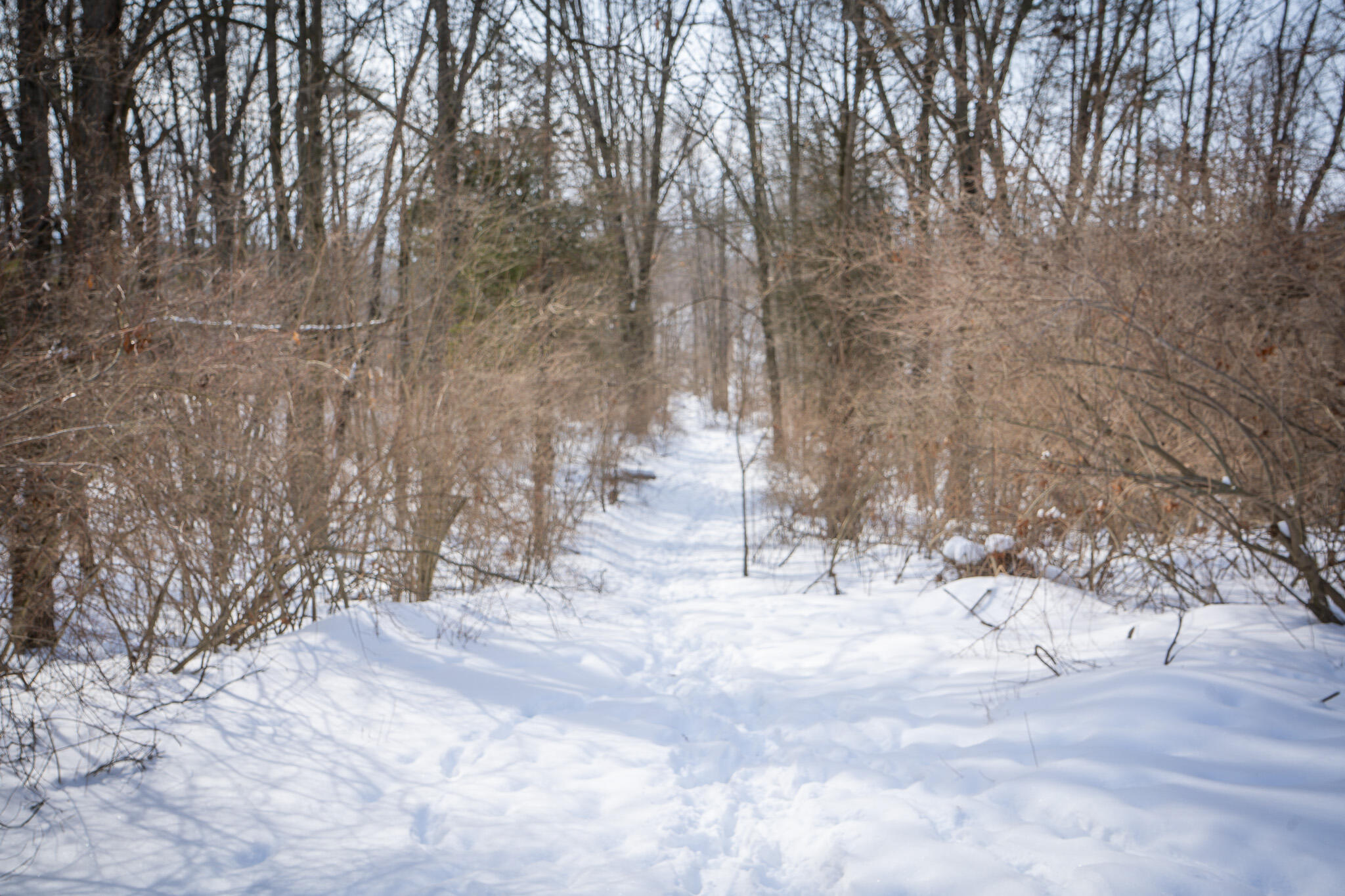 5100 Long Lake Road Reading, MI 49274 - Photo 46 of 83 DSC07573