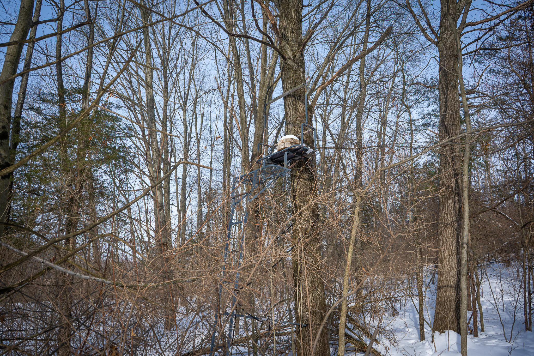 5100 Long Lake Road Reading, MI 49274 - Photo 47 of 83 DSC07575