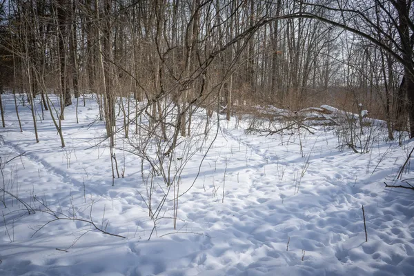 $529,000 | 5100 Long Lake Road, Reading, MI 49274