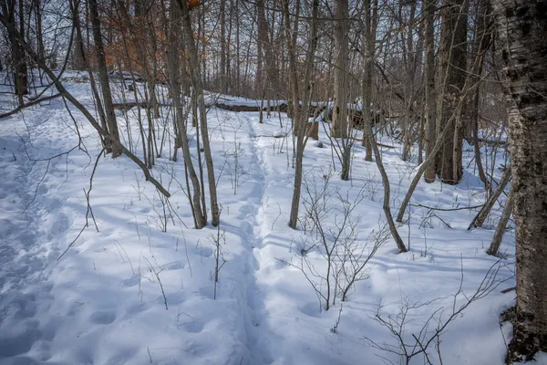 $529,000 | 5100 Long Lake Road, Reading, MI 49274