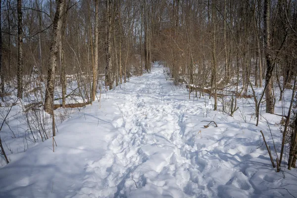 $529,000 | 5100 Long Lake Road, Reading, MI 49274