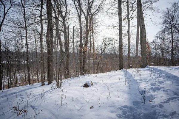 $529,000 | 5100 Long Lake Road, Reading, MI 49274