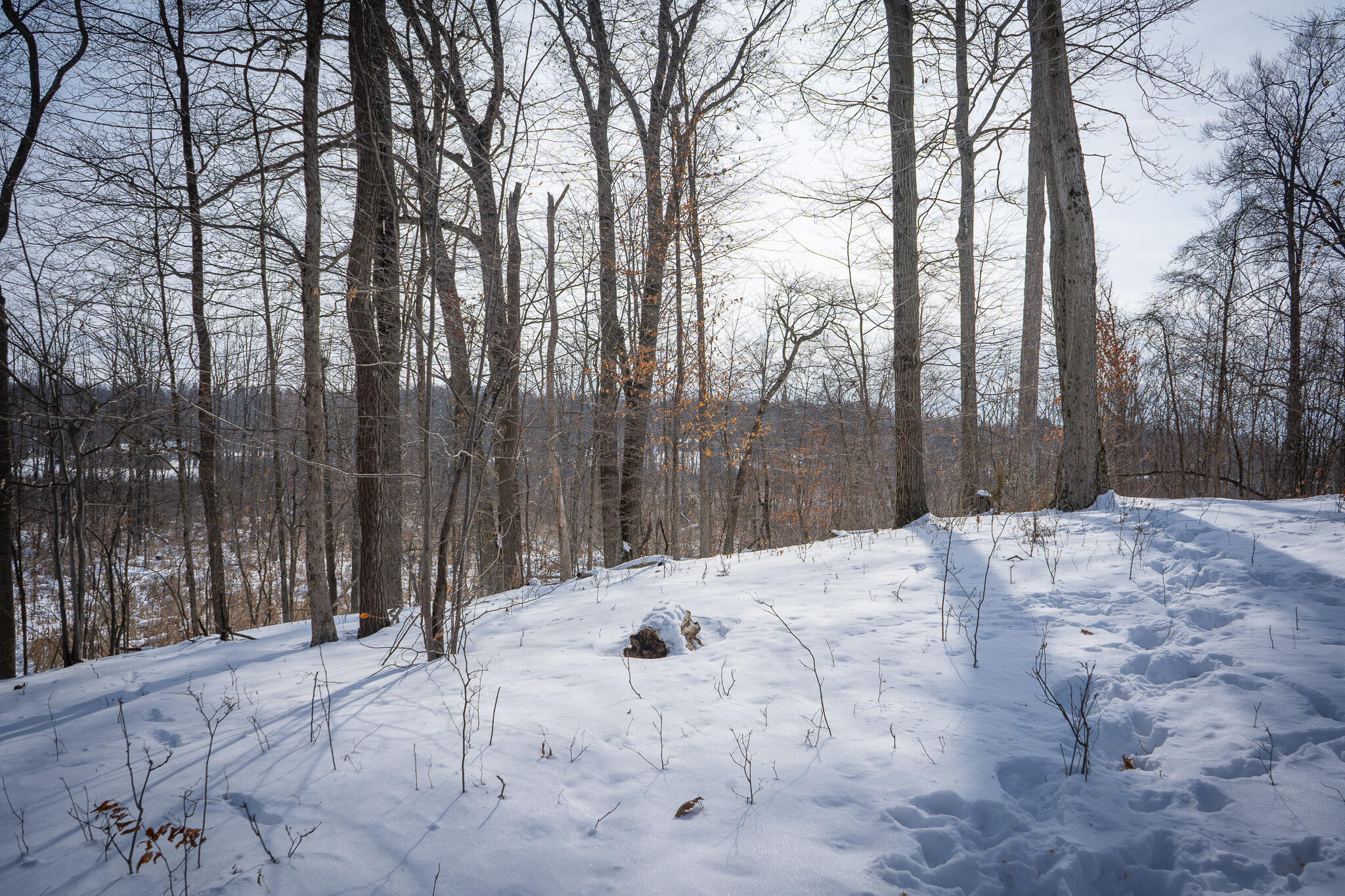 5100 Long Lake Road Reading, MI 49274 - Photo 52 of 83 DSC07581