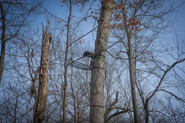 $529,000 | 5100 Long Lake Road, Reading, MI 49274