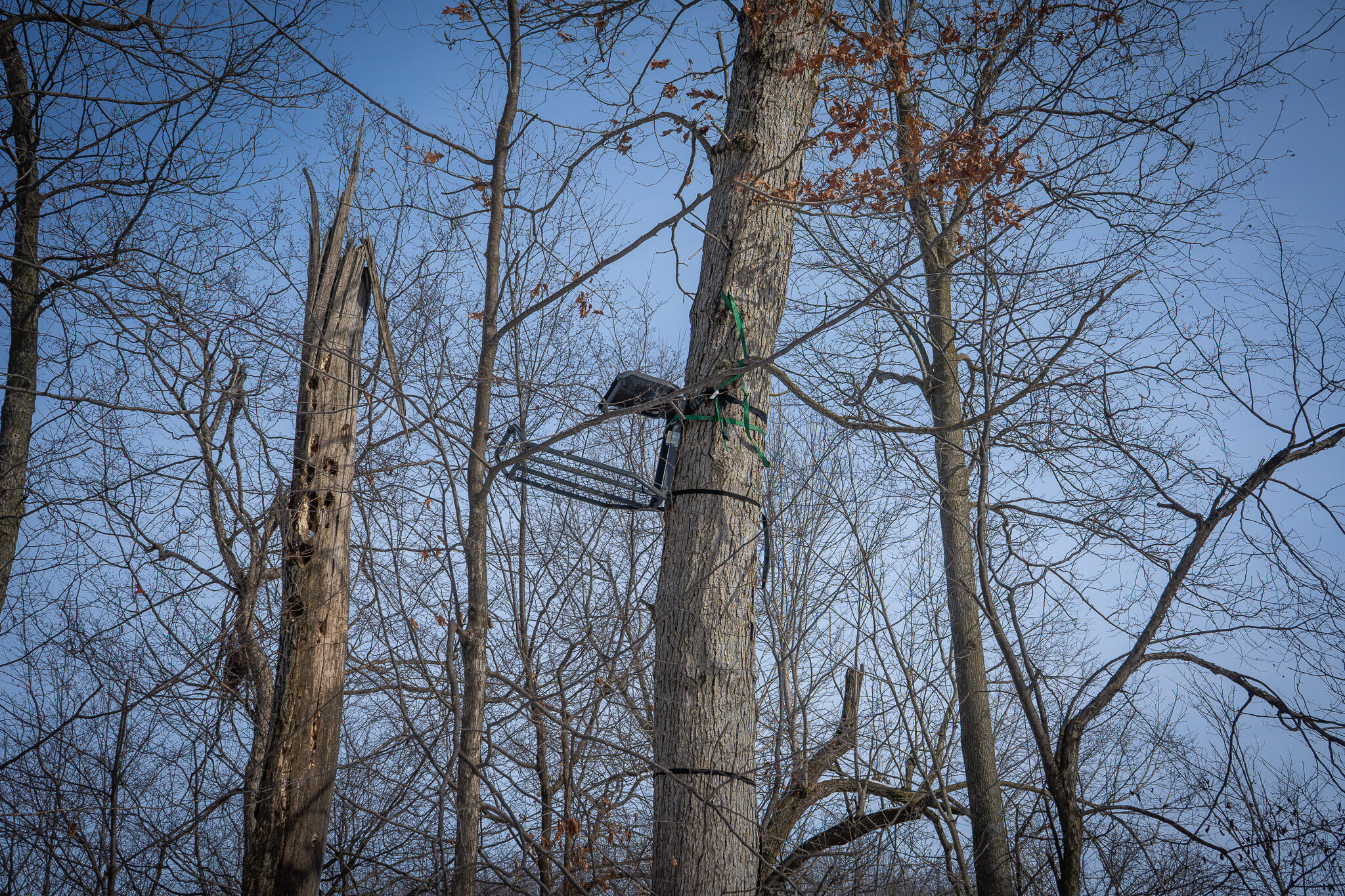 5100 Long Lake Road Reading, MI 49274 - Photo 53 of 83 DSC07582