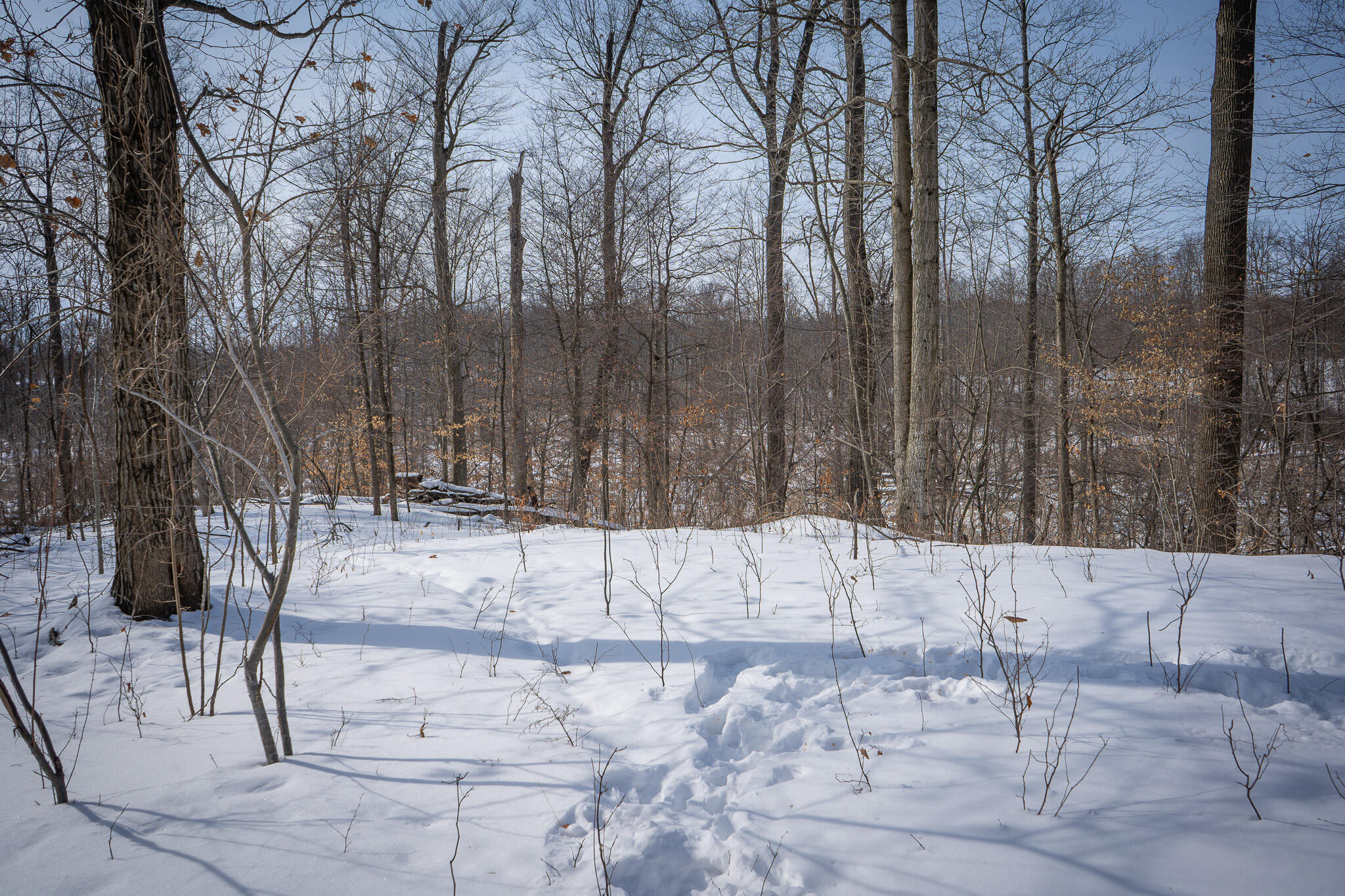 5100 Long Lake Road Reading, MI 49274 - Photo 54 of 83 DSC07583