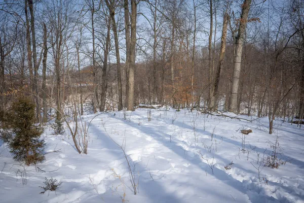 $529,000 | 5100 Long Lake Road, Reading, MI 49274