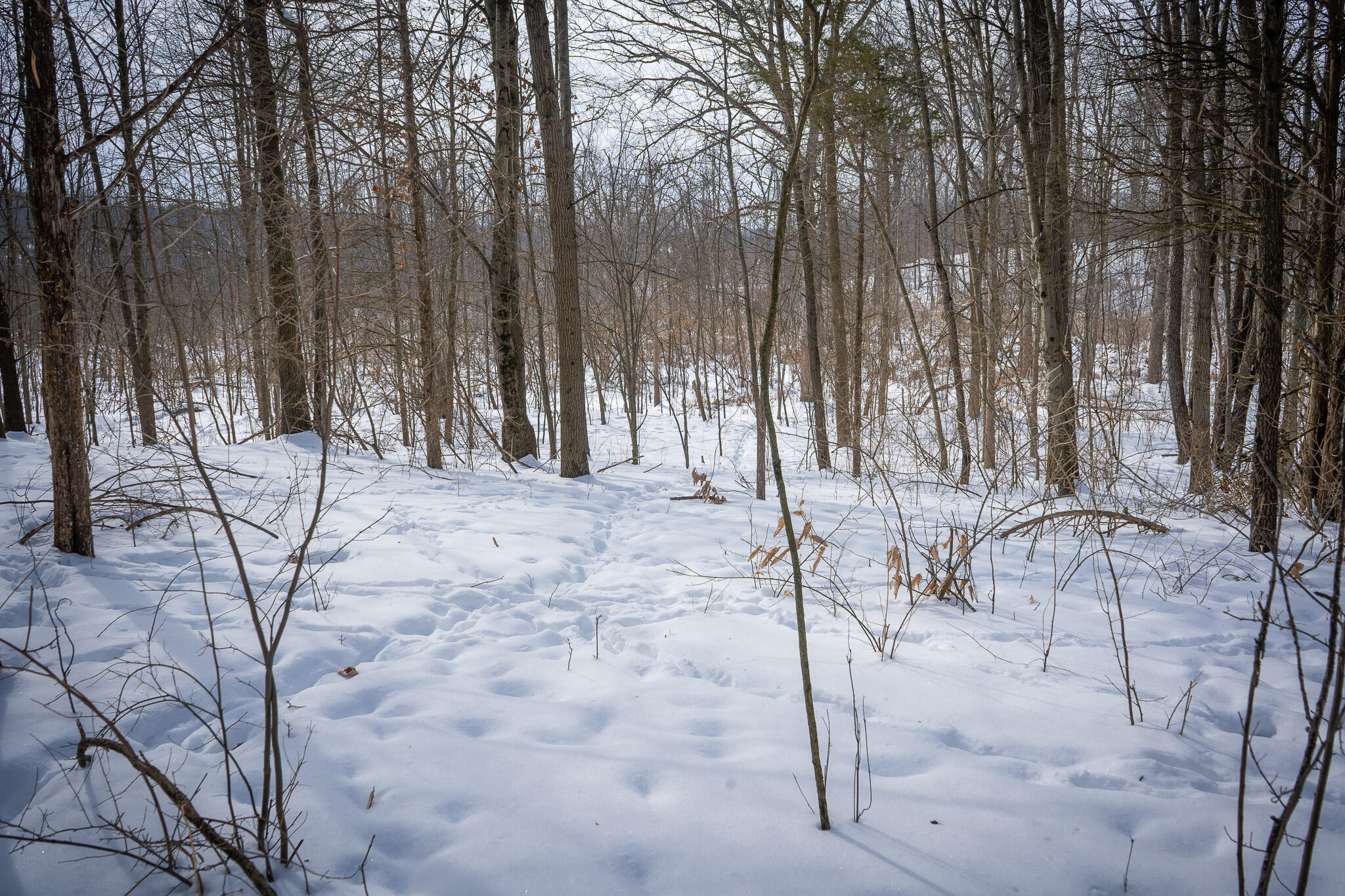 5100 Long Lake Road Reading, MI 49274 - Photo 58 of 83 DSC07590