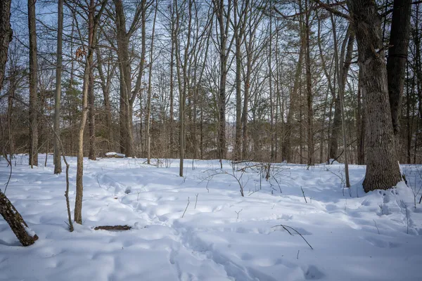 $529,000 | 5100 Long Lake Road, Reading, MI 49274