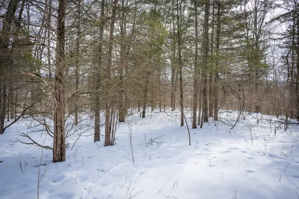 $529,000 | 5100 Long Lake Road, Reading, MI 49274