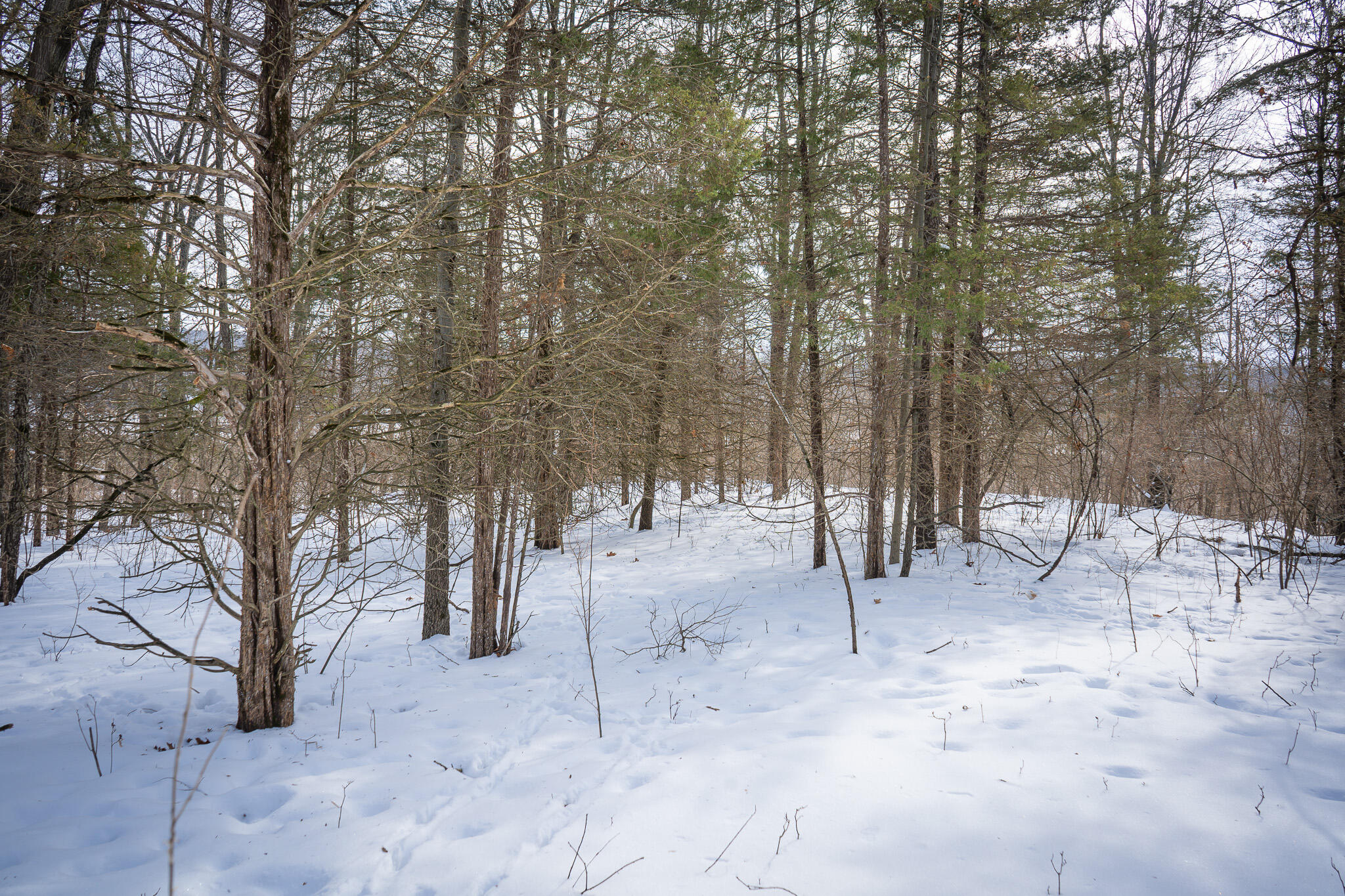 5100 Long Lake Road Reading, MI 49274 - Photo 60 of 83 DSC07592