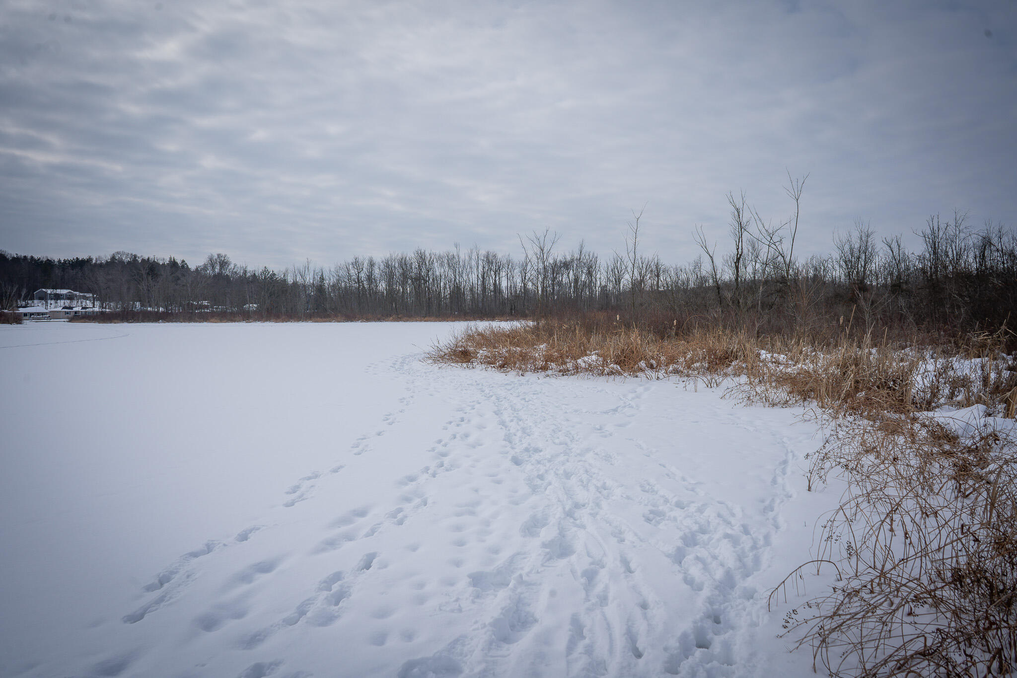 5100 Long Lake Road Reading, MI 49274 - Photo 62 of 83 DSC07594