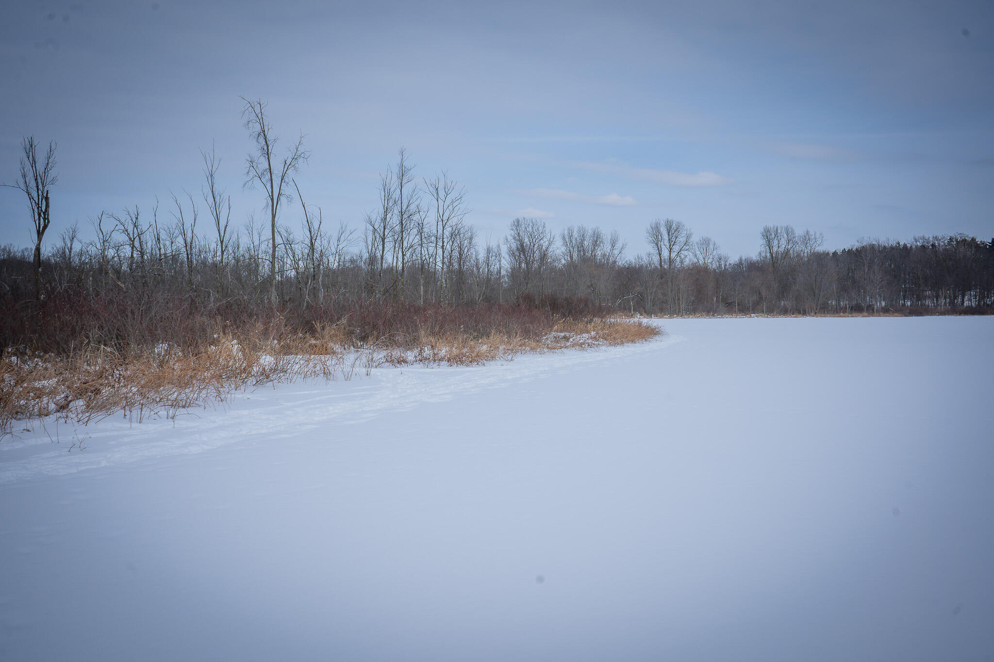 5100 Long Lake Road Reading, MI 49274 - Photo 64 of 83 DSC07597