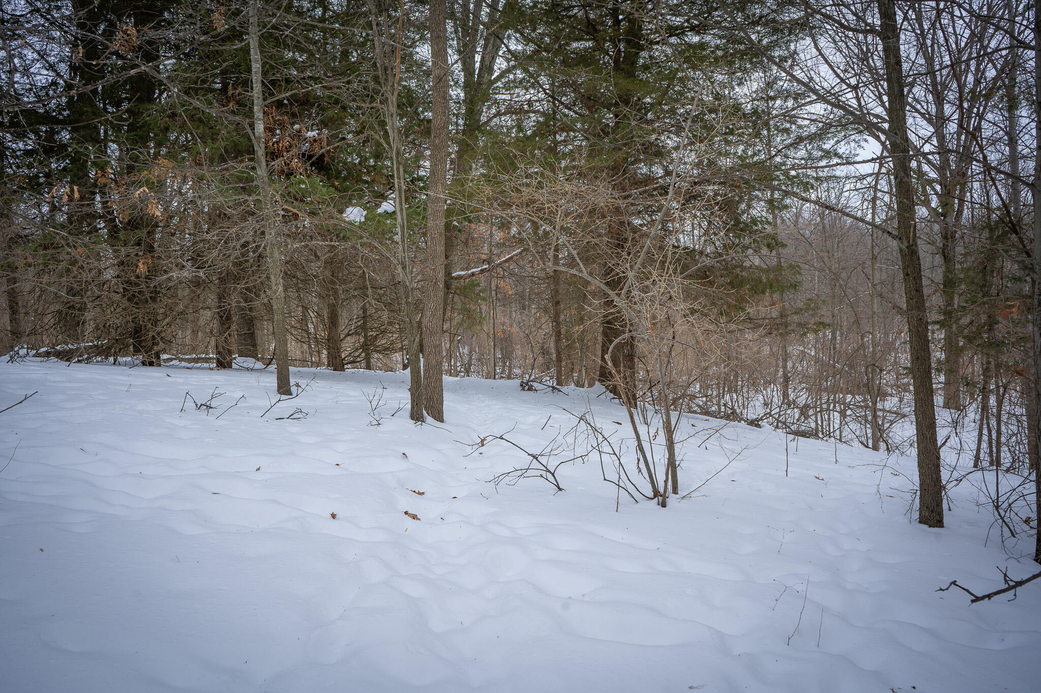 5100 Long Lake Road Reading, MI 49274 - Photo 67 of 83 DSC07600