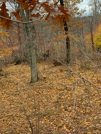 $529,000 | 5100 Long Lake Road, Reading, MI 49274