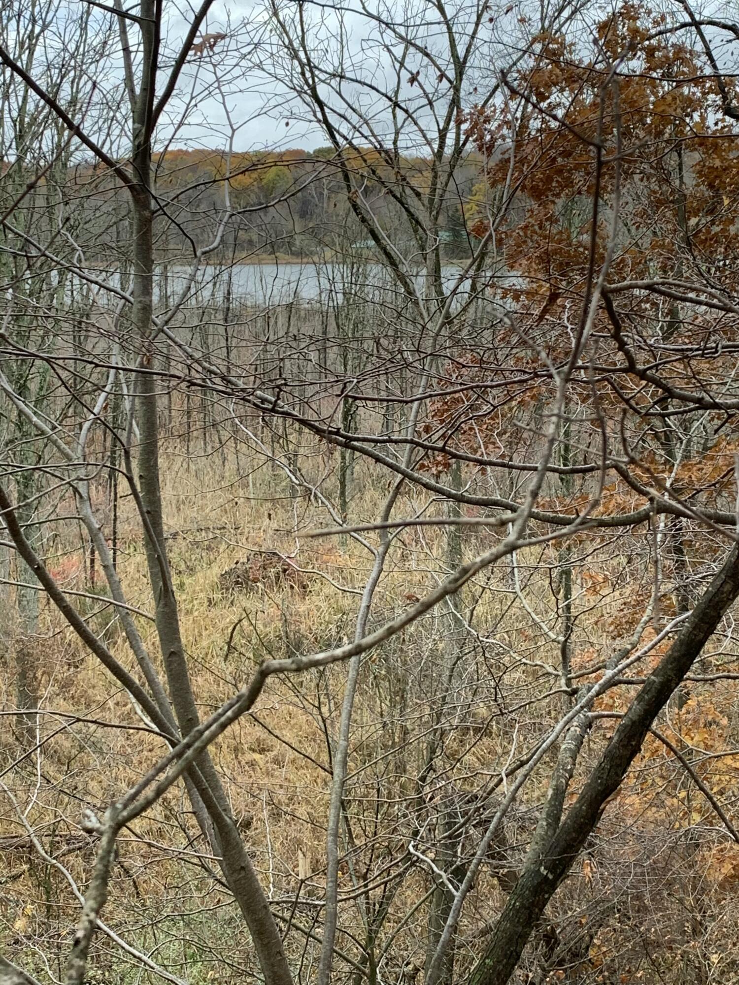 5100 Long Lake Road Reading, MI 49274 - Photo 72 of 83 IMG_3512