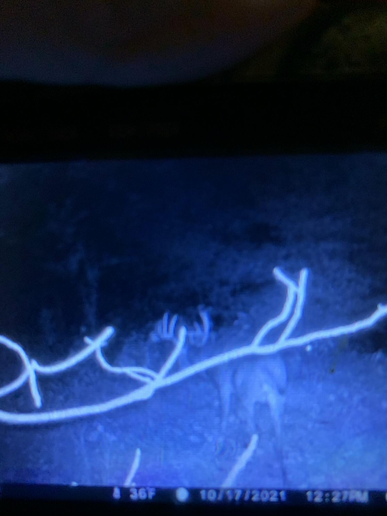 5100 Long Lake Road Reading, MI 49274 - Photo 73 of 83 IMG_3516