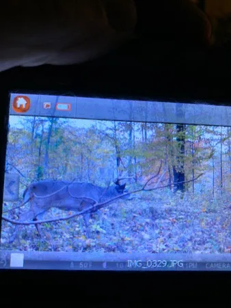 $529,000 | 5100 Long Lake Road, Reading, MI 49274