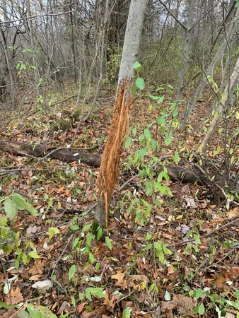 $529,000 | 5100 Long Lake Road, Reading, MI 49274