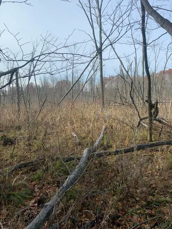 $529,000 | 5100 Long Lake Road, Reading, MI 49274