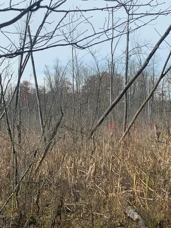 $529,000 | 5100 Long Lake Road, Reading, MI 49274