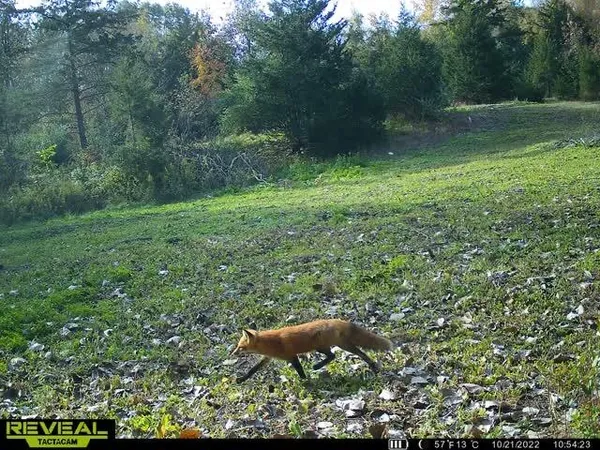 $529,000 | 5100 Long Lake Road, Reading, MI 49274