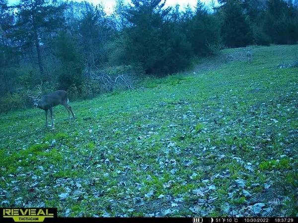 $529,000 | 5100 Long Lake Road, Reading, MI 49274