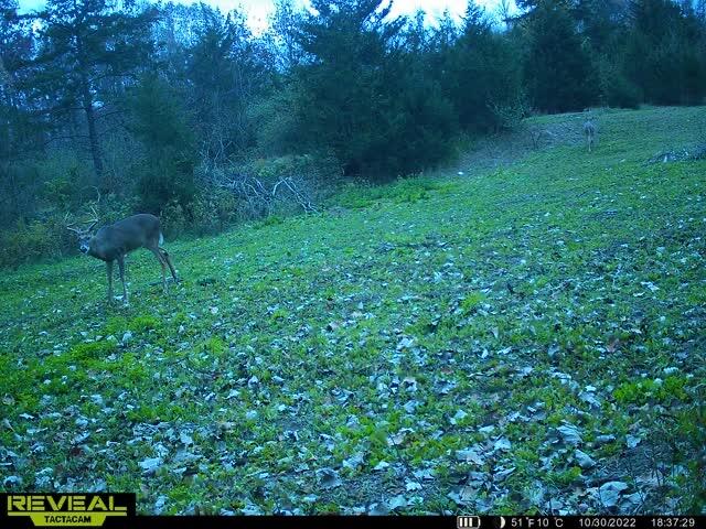 5100 Long Lake Road Reading, MI 49274 - Photo 80 of 83 IMG_5209