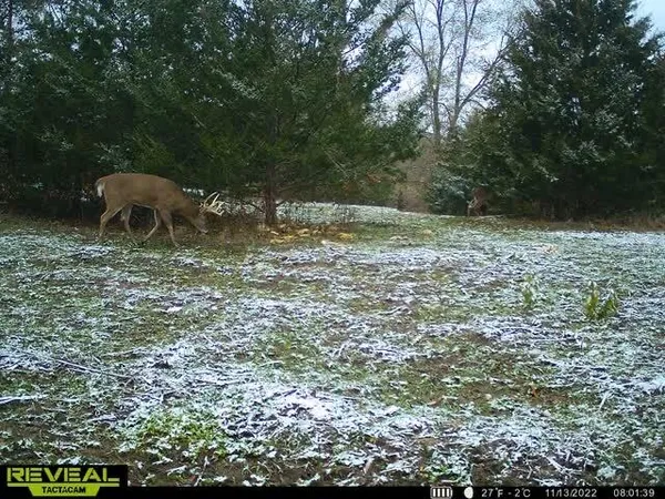 $529,000 | 5100 Long Lake Road, Reading, MI 49274