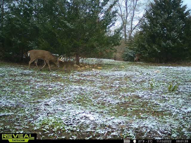 5100 Long Lake Road Reading, MI 49274 - Photo 82 of 83 IMG_5329