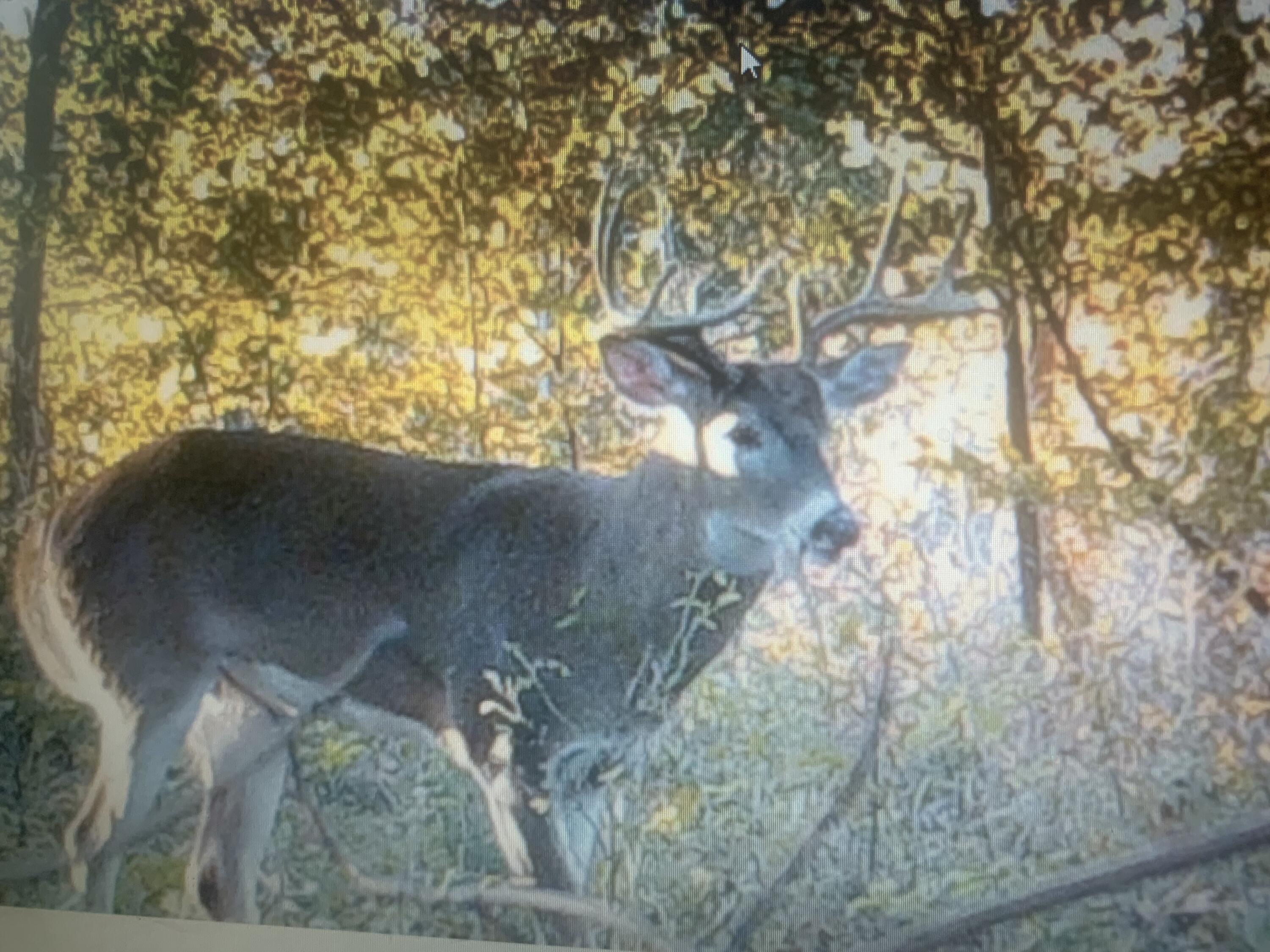 5100 Long Lake Road Reading, MI 49274 - Photo 83 of 83 IMG_5515