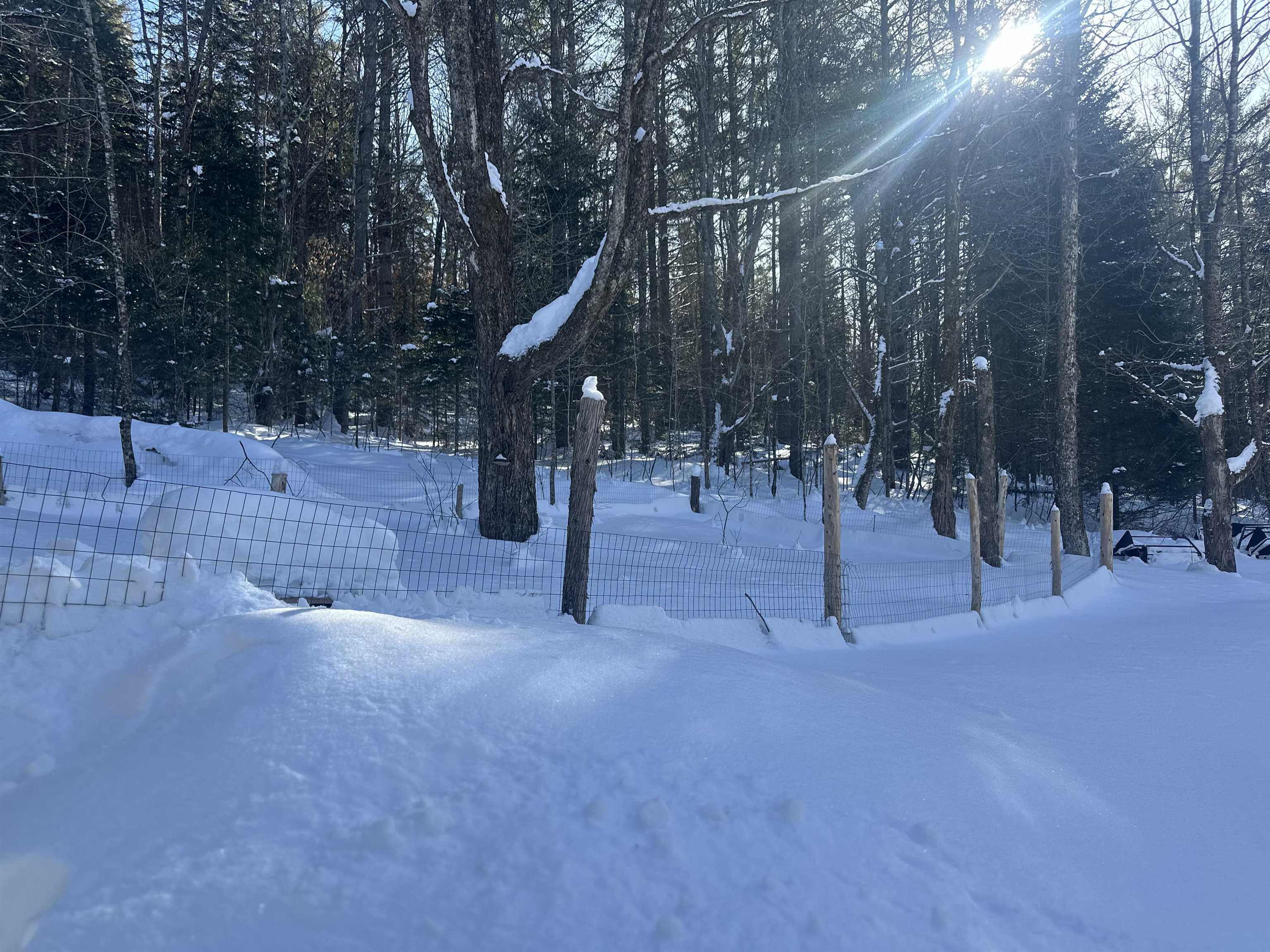 9 Dry Pond Road Glover, VT 05839 - Photo 6 of 19