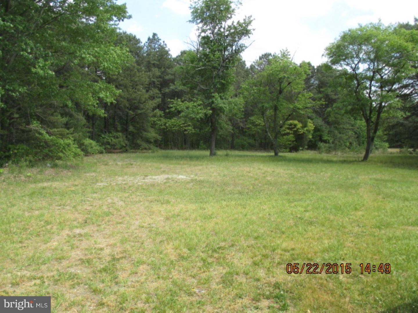 134 New Brooklyn Road Sicklerville, NJ 08081 - Photo 3 of 19