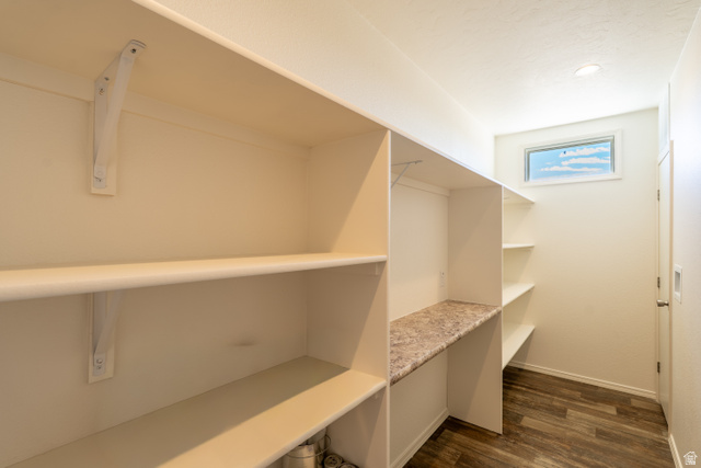 700 East Peter Springs Road Monticello, UT 84535 - Photo 13 of 57 Expansive pantry featuring extensive built-in shelving, wood-finish flooring, a functional countertop, a window providing natural illumination, and a recessed ceiling light