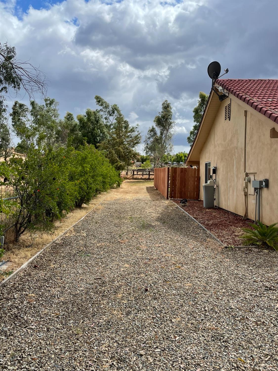 2344 Tivy Valley Road Sanger, CA 93657 - Photo 43 of 61 a view of a dry yard with a tree