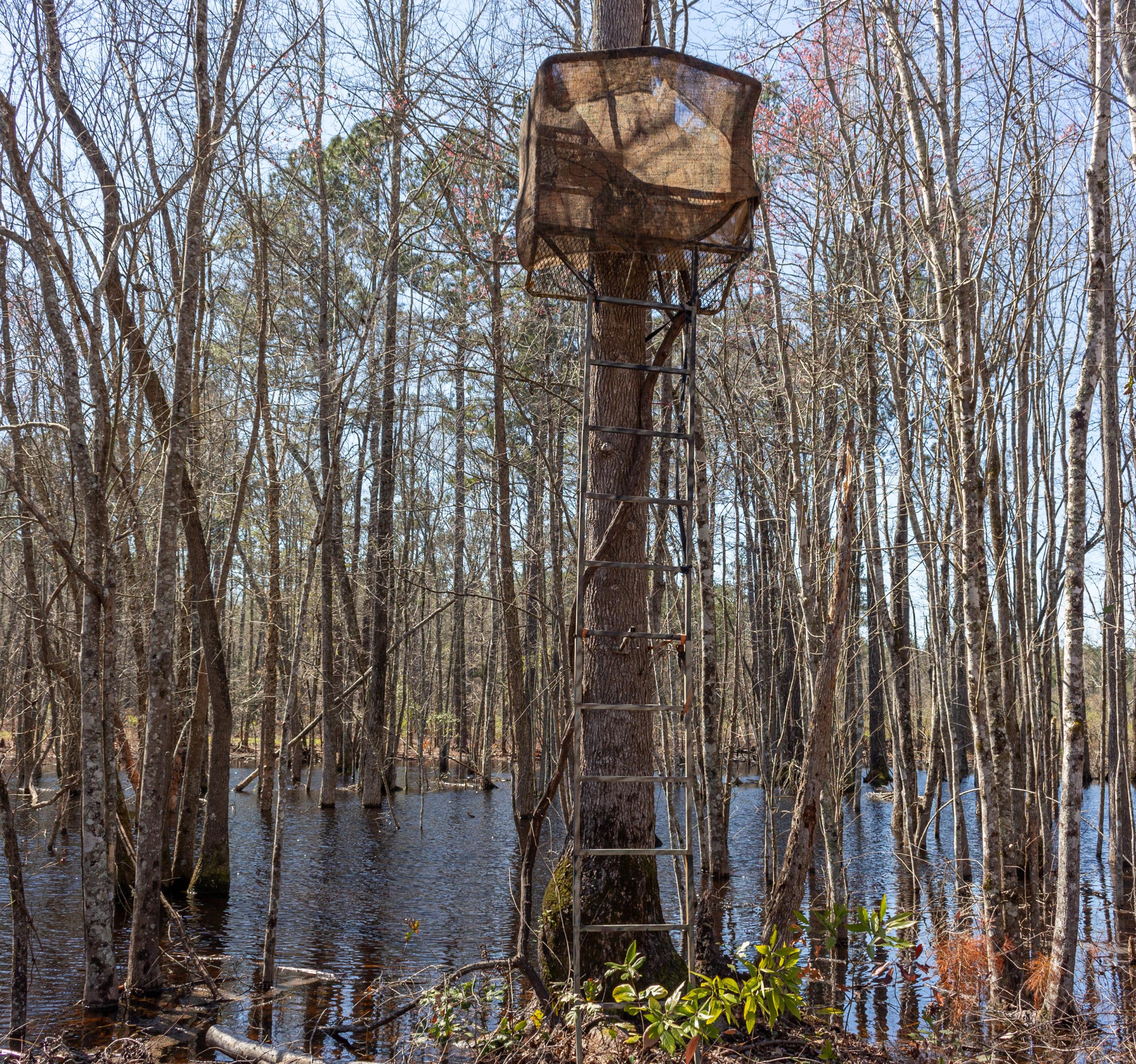 45 Conner Cemetary Road Smoaks, SC 29481 - Photo 24 of 31 Deer Stands Abound