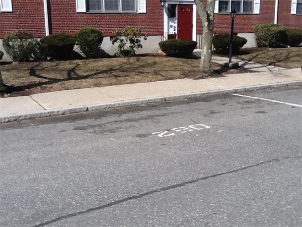 198 Lake Shore Road, Unit 1 Boston, MA 02135 - Photo 11 of 20 Gallery Image 11