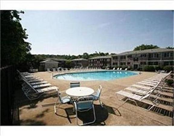 198 Lake Shore Road, Unit 1 Boston, MA 02135 - Photo 13 of 20 Gallery Image 13