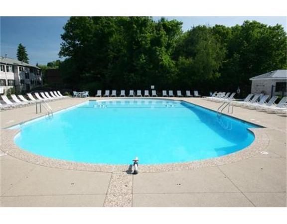 198 Lake Shore Road, Unit 1 Boston, MA 02135 - Photo 14 of 20 Gallery Image 14